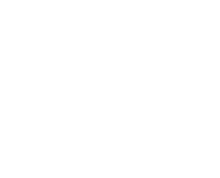 Logo P&P Distribuidora